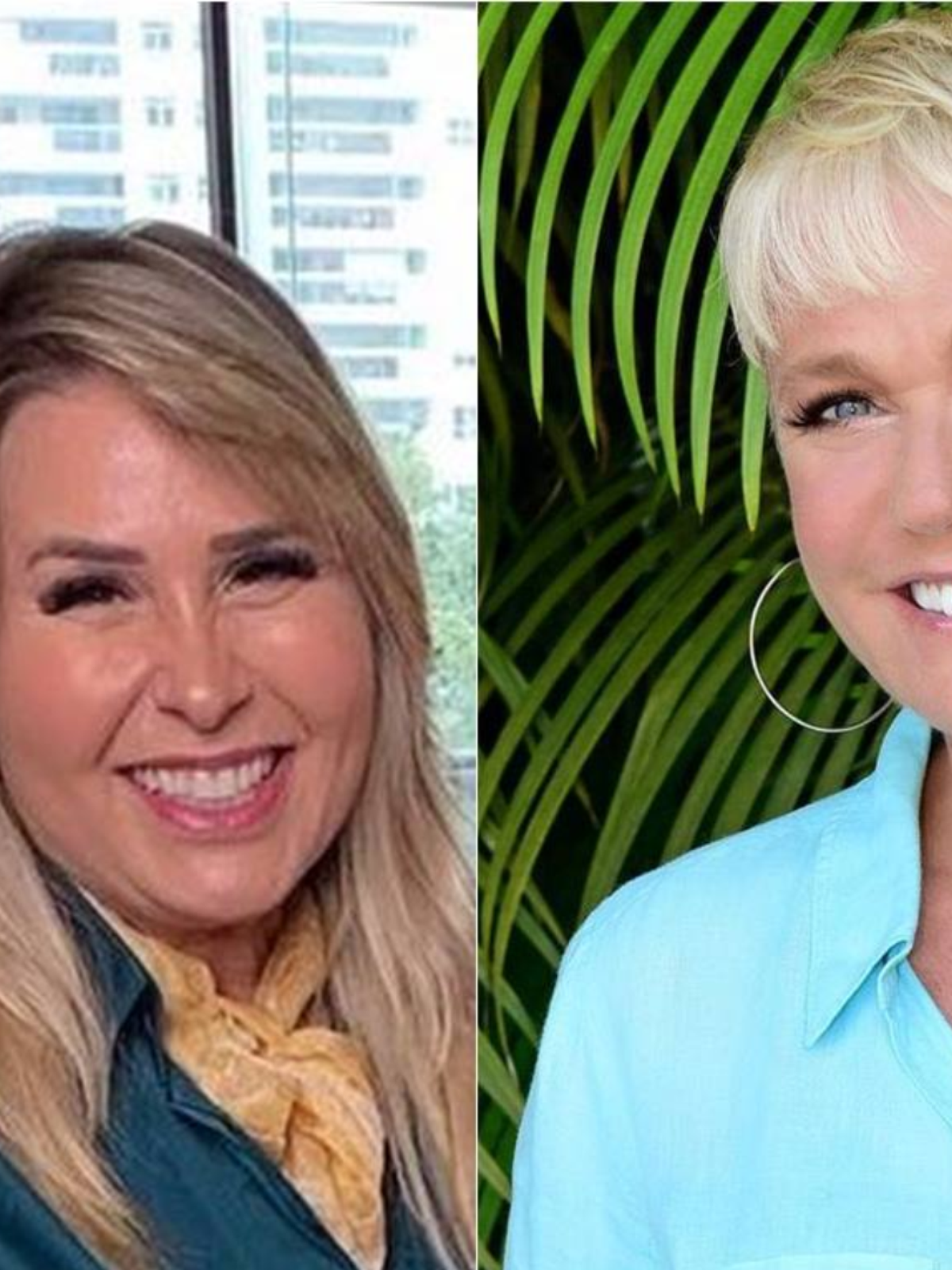 Xuxa vai à Justiça contra Andréa Sorvetão por dívida de apartamento