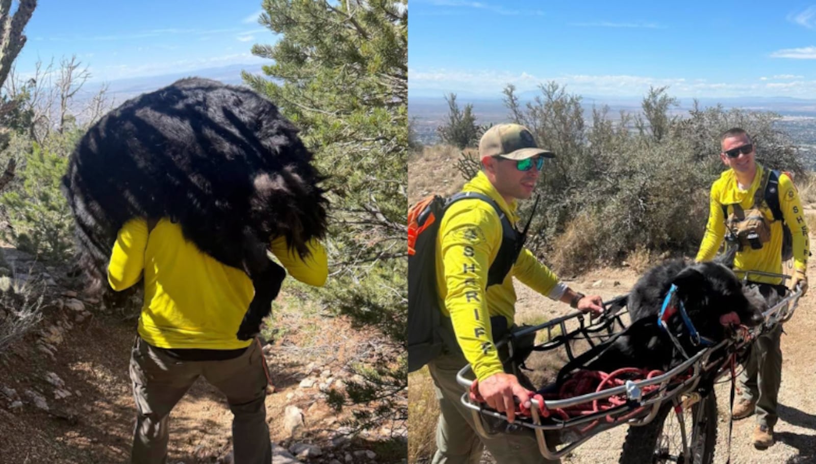 Profissionais se revezaram para carregar Atlas Reprodução/Facebook/Bernalillo County Sheriff's Office