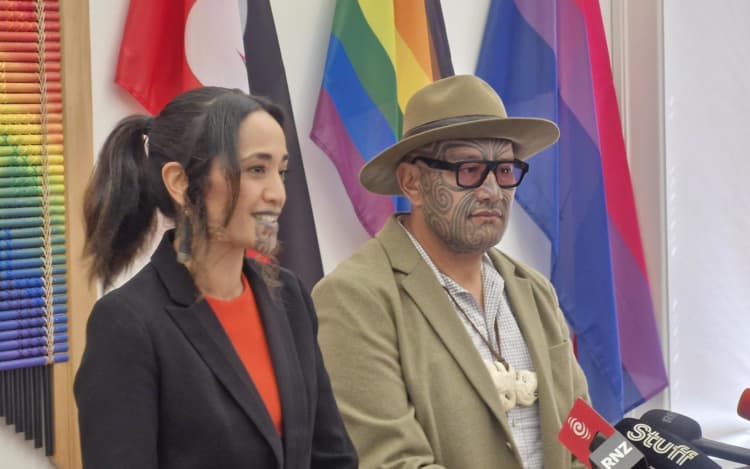 Te Pāti Māori will commit $200 million to setting up an independent Takatāpui Commission tasked with powers and funding to uplift takatāpui, if elected.