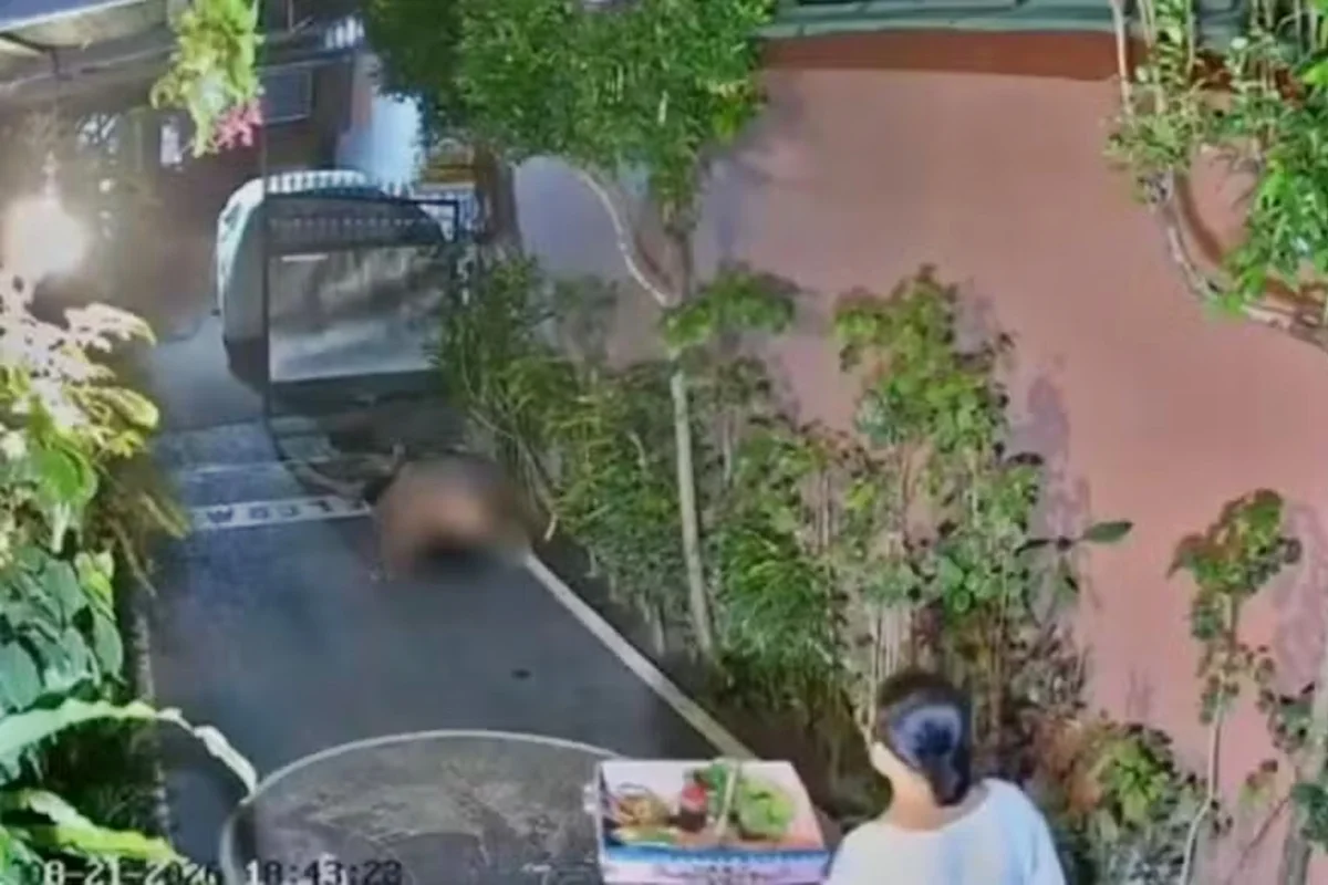 Imagem da matéria: Turista é banido por 10 anos da Indonésia após fazer sexo em local público