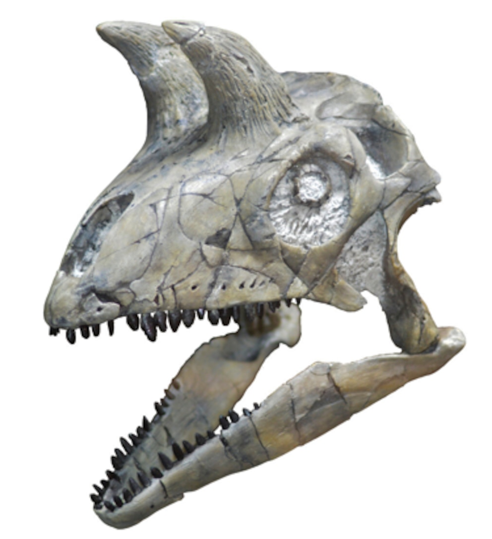 Como os dinossauros se diversificaram após a extinção ocorrida há 252 milhões de anos