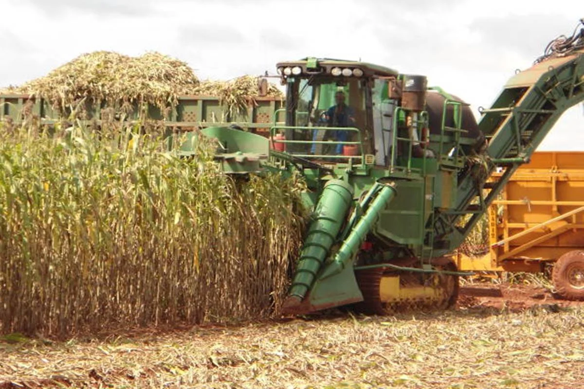 Marrocos fornecerá 3,8 milhões de toneladas de fertilizantes ao Brasil