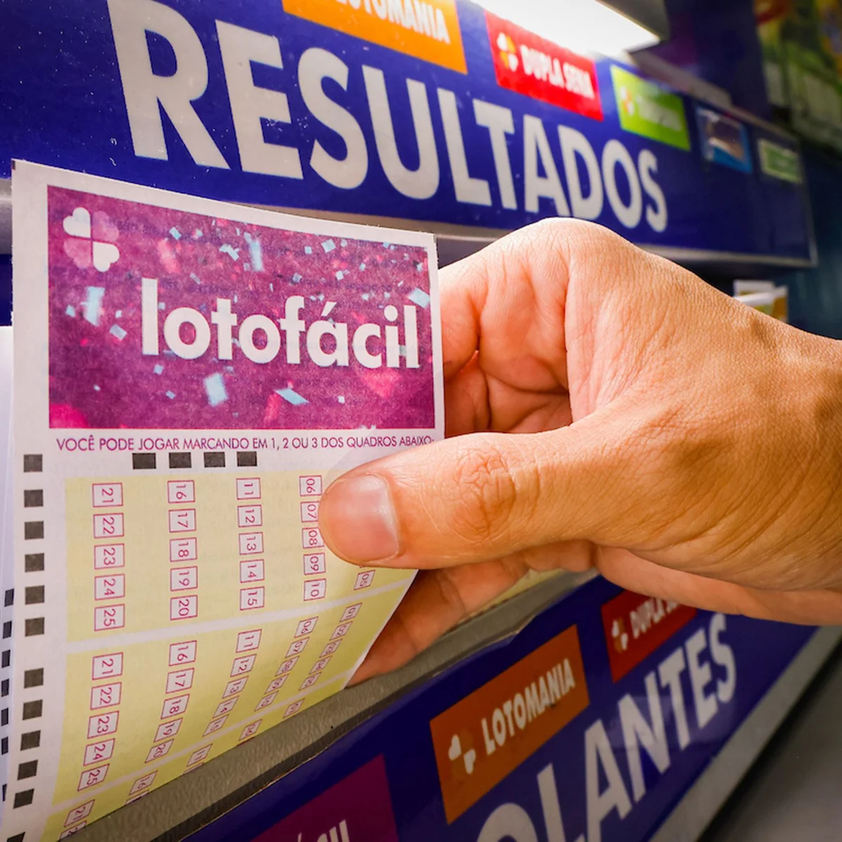 Lotofácil 3785: apostas de TO e MG acertam números e levam R$ 711 mil
