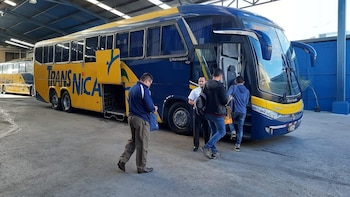 El Consejo de Transporte Público atribuyó la medida a una flota inscrita menor a la exigida, una resolución apelada por la compañía que puede reducir las opciones terrestres entre Managua y San José. (Imagen de cortesía)