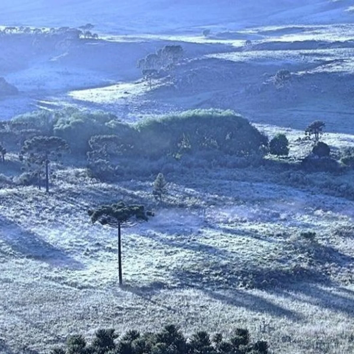 Clima: Brasil tem dia de contrastes, com geada no Sul e calor no Norte