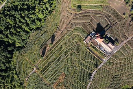 Um passeio por Milo, o território da uva Carricante produzida no solo vulcânico do Etna