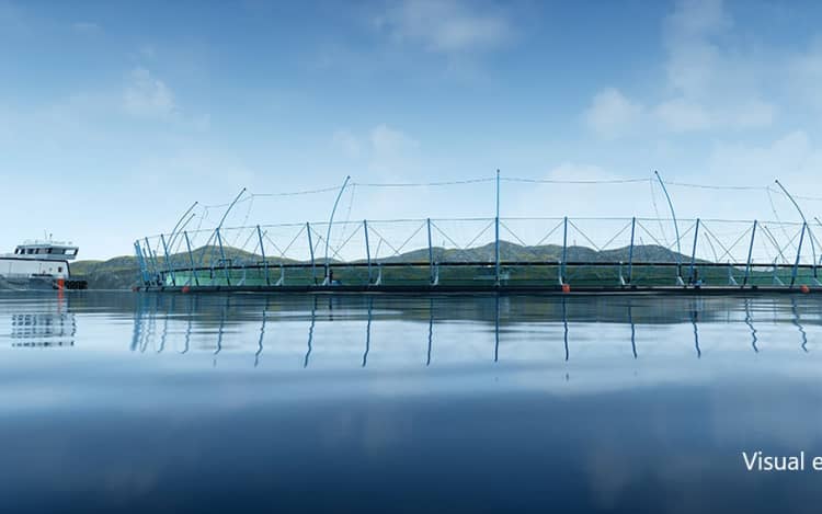 A mock-up image of what the Blue Endeavour open ocean salmon farm in Cook Strait could look like.