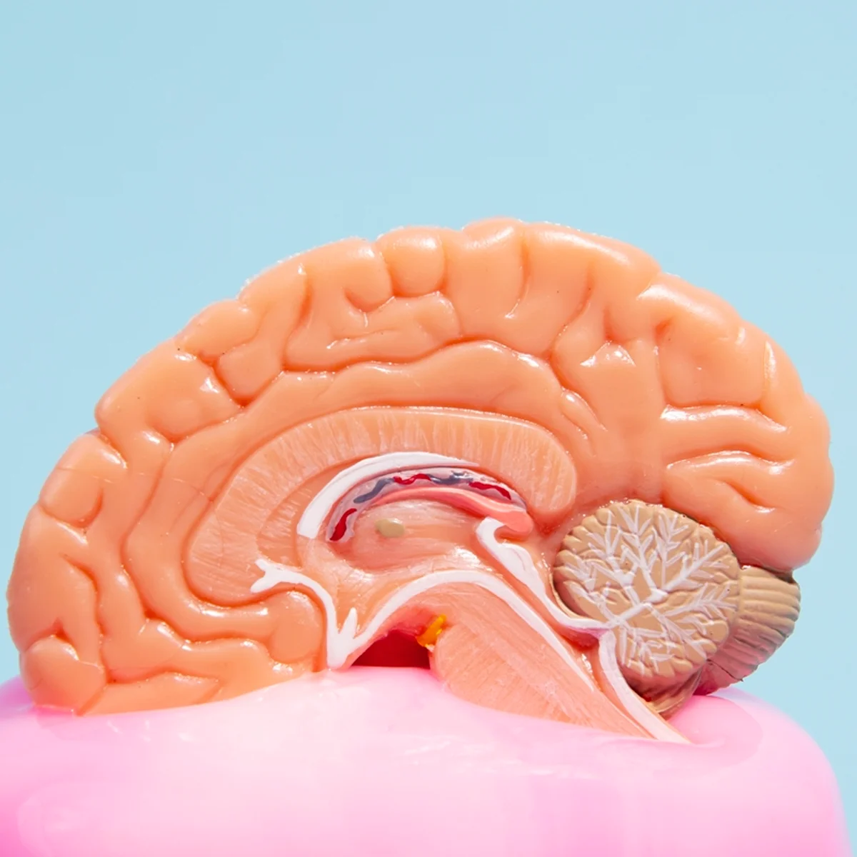 Estimulação cognitiva pode retardar perda de funções no Alzheimer
