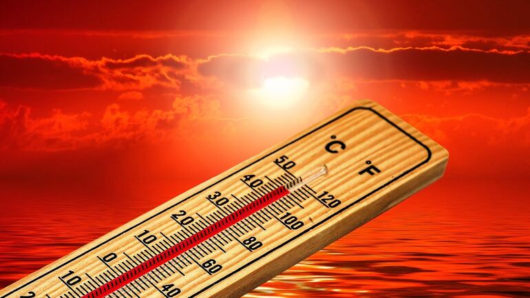 El Niño e quebra de safra: como o PRODUTOR RURAL deve agir se não conseguir cumprir a CPR