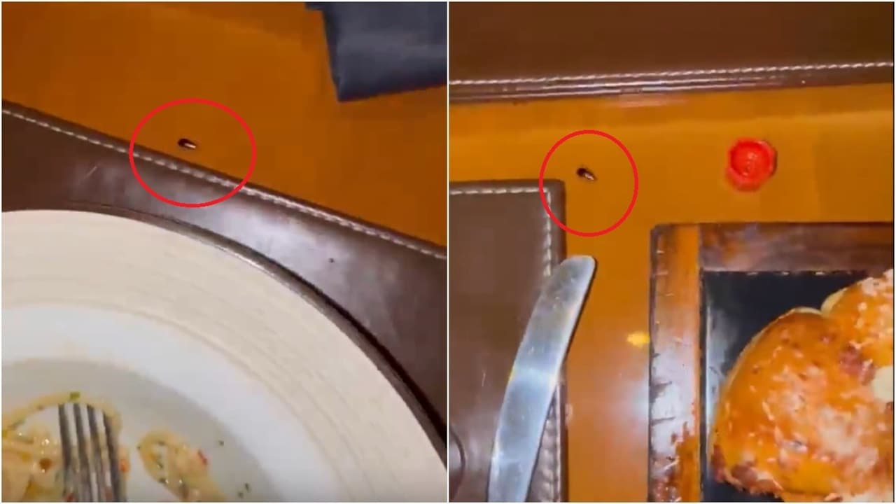 Uma piada sarcástica do médico sobre o JW Marriott de Mumbai enquanto uma barata rastejava ao redor de sua mesa