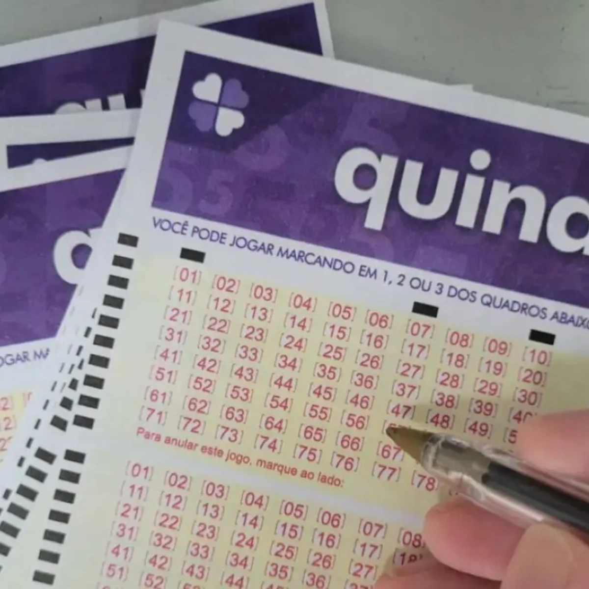 Quina 7117 sorteia R$ 33 milhões hoje (14/9). Confira resultado