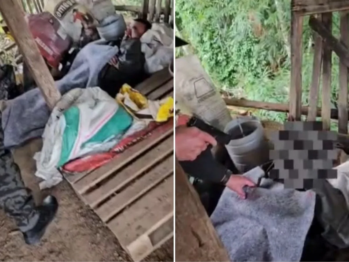 Homem é preso dormindo em galinheiro horas depois de tentar matar a ex