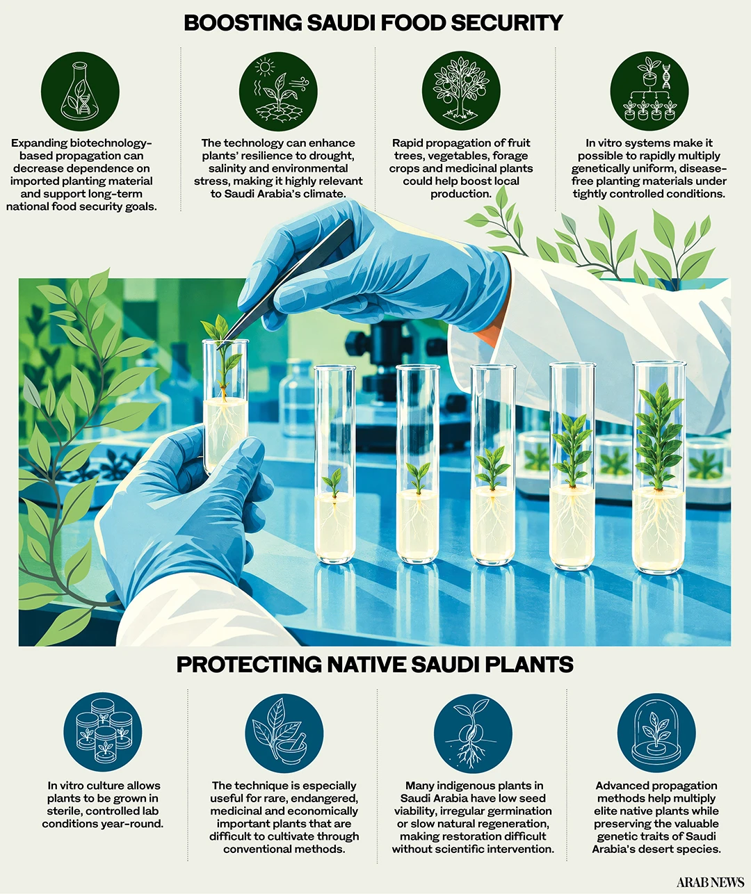 Saudi Arabia turns to in vitro technology to boost food security