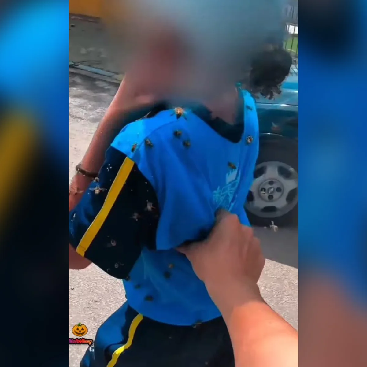 Motoboy salva criança e leva 40 picadas durante ataque de abelhas em MG