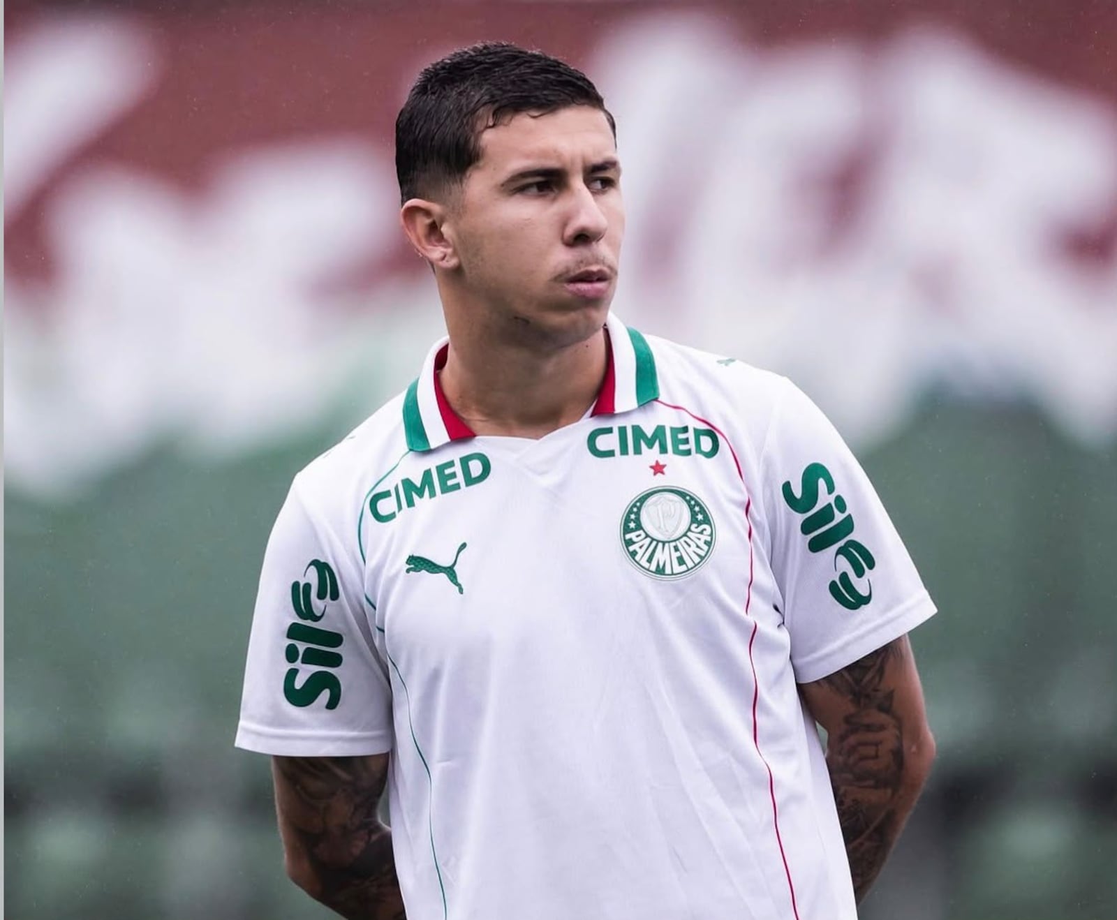 Felipe Teresa negociava a renovação de seu contrato com o Palmeiras (Reprodução/felipeteresa06)