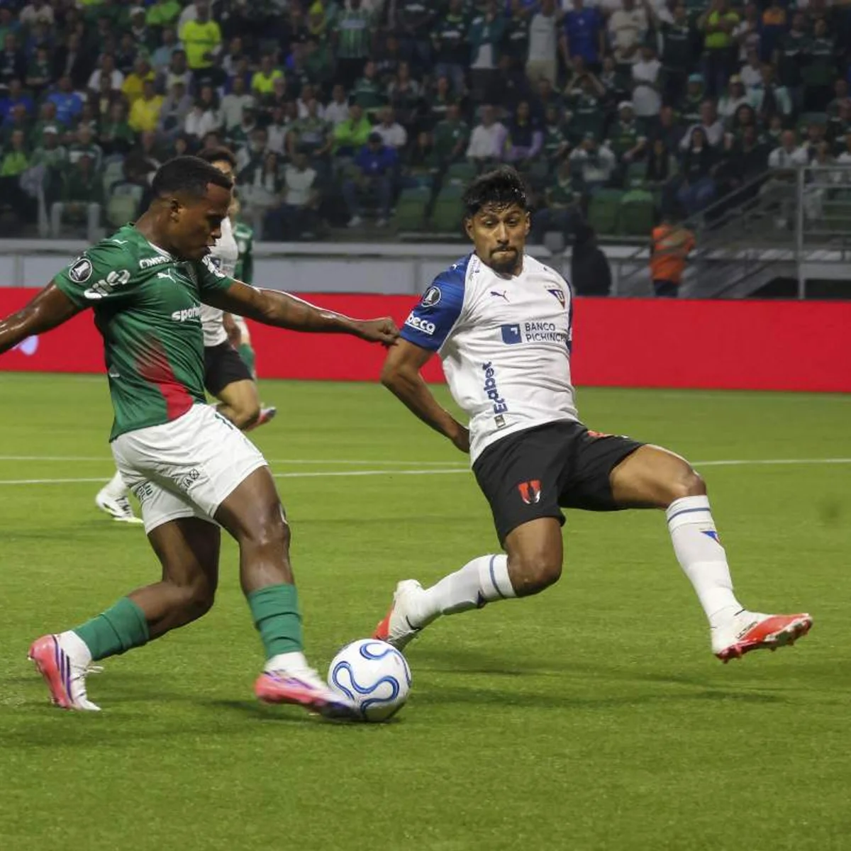 LDU x Palmeiras: Verdão tenta evitar novo susto na altitude