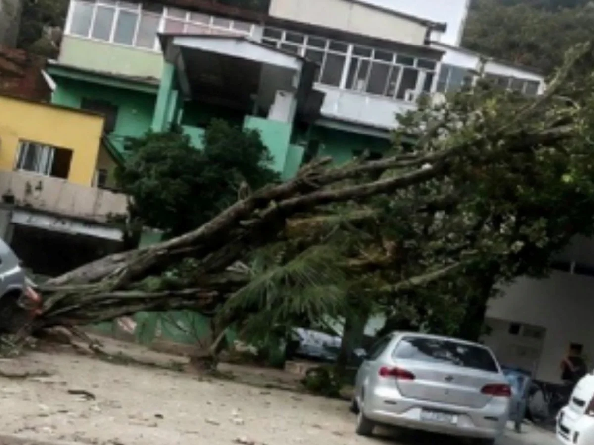 Defesa Civil envia alerta para celulares do RJ após previsão de ventania