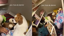 CEO ‘doidão’ chega à empresa de bermuda e viraliza com dança maluca; assista