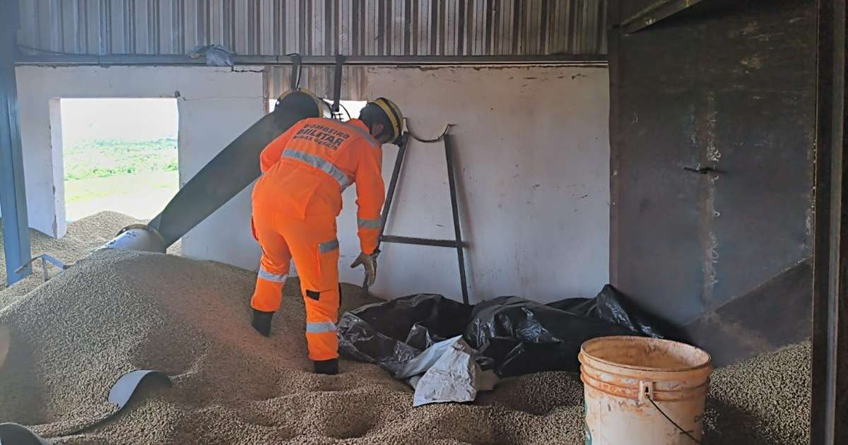 Homem morre soterrado por grãos de café após colapso de silo no Triângulo Mineiro