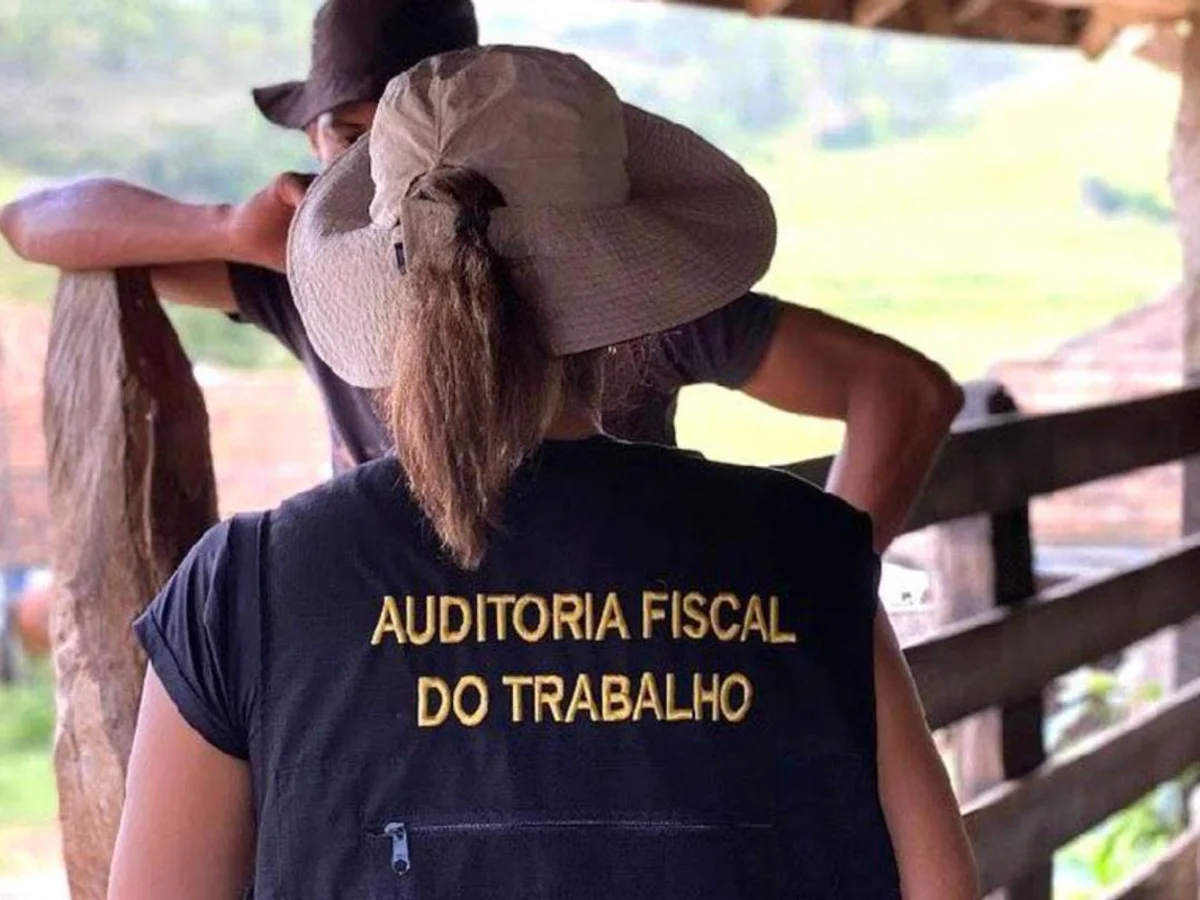 Operação resgata quase 500 trabalhadores em situação análoga à escravidão