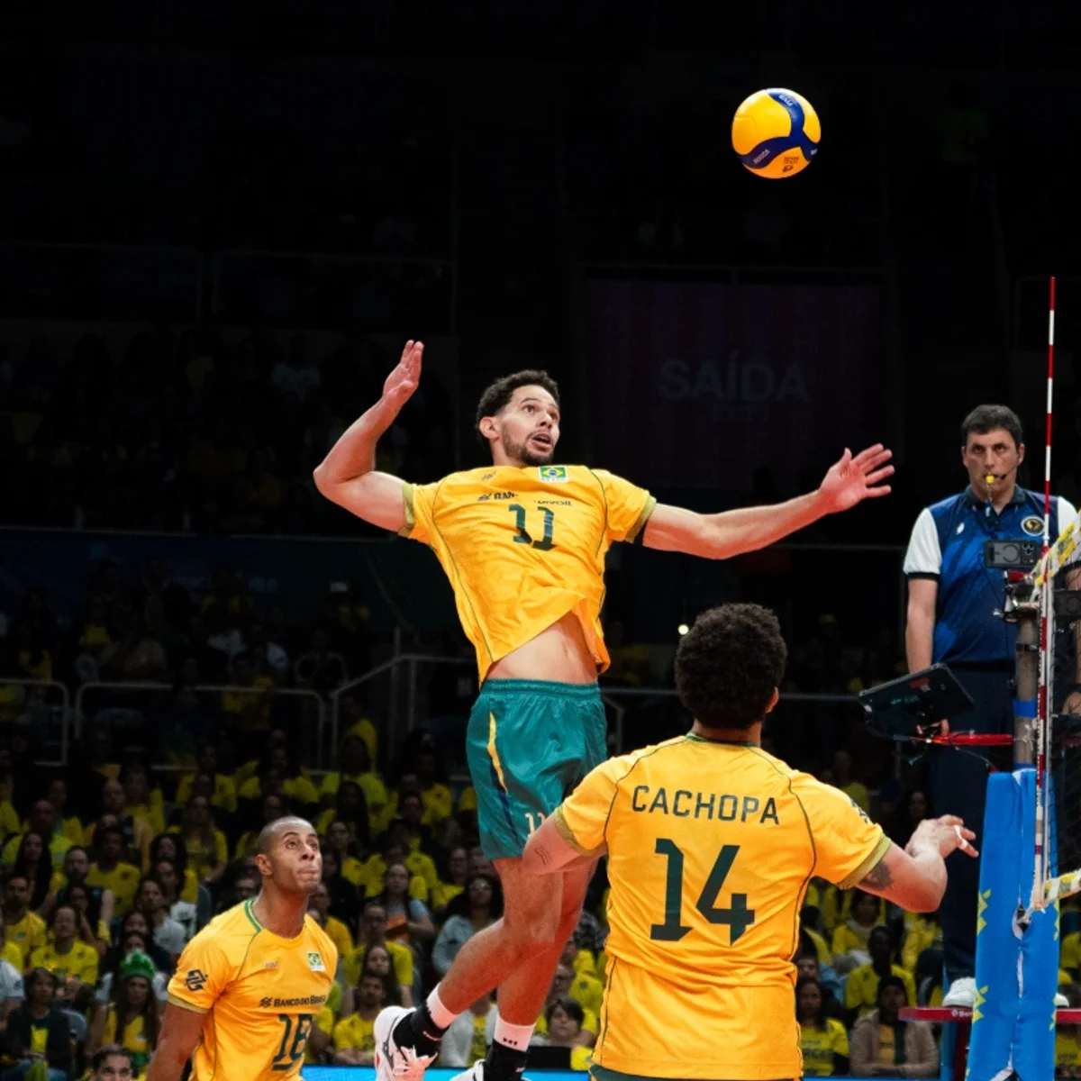 Vôlei: Brasil busca manter invencibilidade no Sul-Americano contra Colômbia