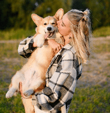 Os cachorros utilizam principalmente a linguagem corporal para se comunicar Foto: Yury Nikolaev | Shutterstock / Portal EdiCase