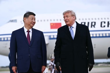 Diplomacia animal: China enviará casal de pandas a zoológico dos EUA, anuncia Xi Jinping