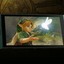 Imagem da matéria: The Legend of Zelda: 7 games da saga que também mereciam remakes