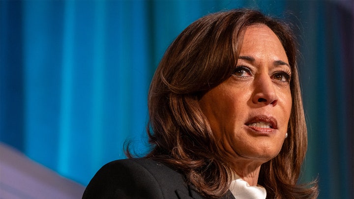 Kamala Harris usa uma analogia com flores para explicar algoritmos de redes sociais enquanto discute IA e eleições intermediárias