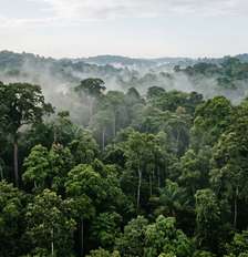 Imagem gerada por Inteligência Artificial, que não tem o objetivo de refletir ou retratar situações reais. Foto: Imagem: gerada por IA / Portal Terra / TerrAI