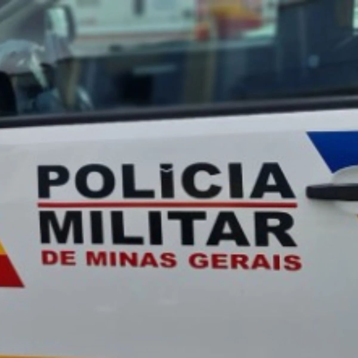 Neto é preso suspeito de esfaquear avós e matar dois cães em MG