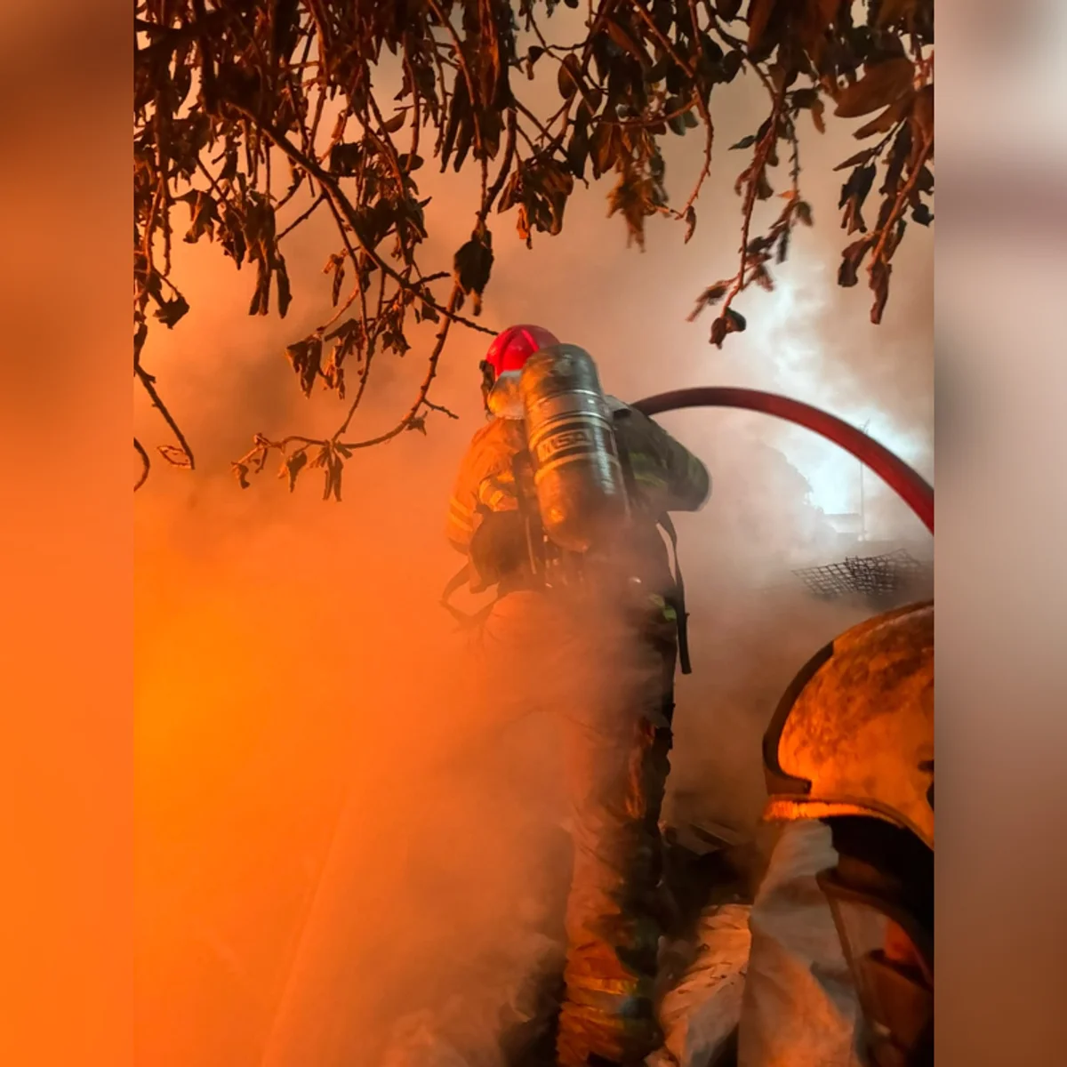 Incêndio atinge depósito de recicláveis e assusta moradores em BH