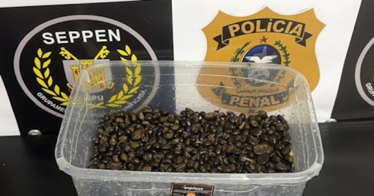Visitantes são presos com mais de 1,2 mil porções de drogas em presídio de Bangu, no Rio