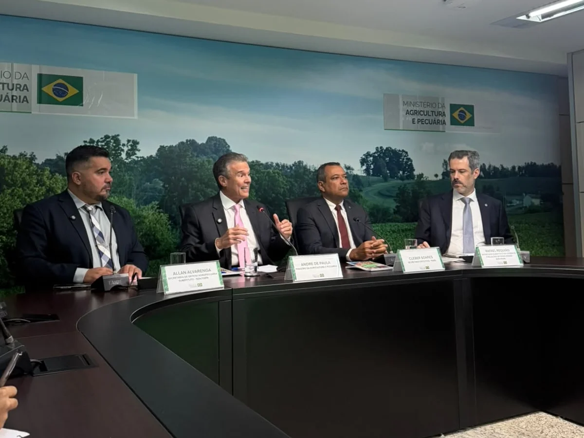 Governo confirma foco da doença de Newcastle em granja de perus em SC